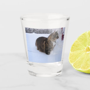 norwegian forest cat in snow shot glass