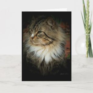 Norwegian Forest Cat Missing You Card