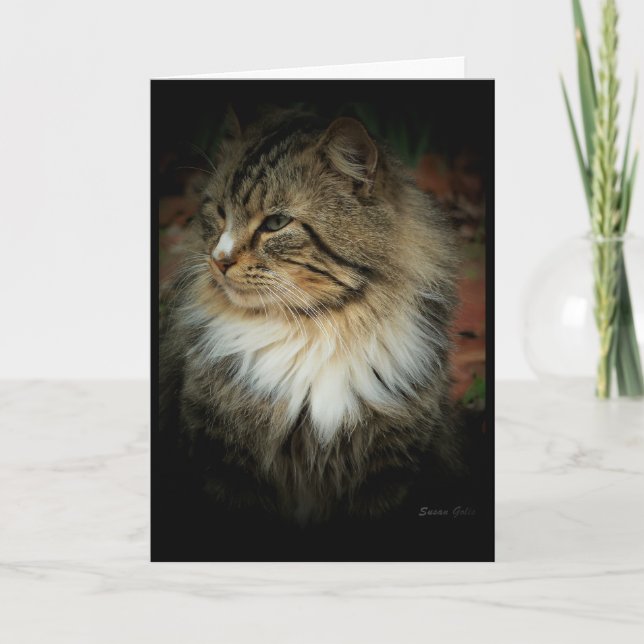 Norwegian Forest Cat Missing You Card (Front)