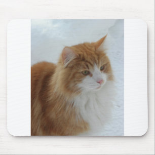 Norwegian_Forest_Cat Mouse Mat