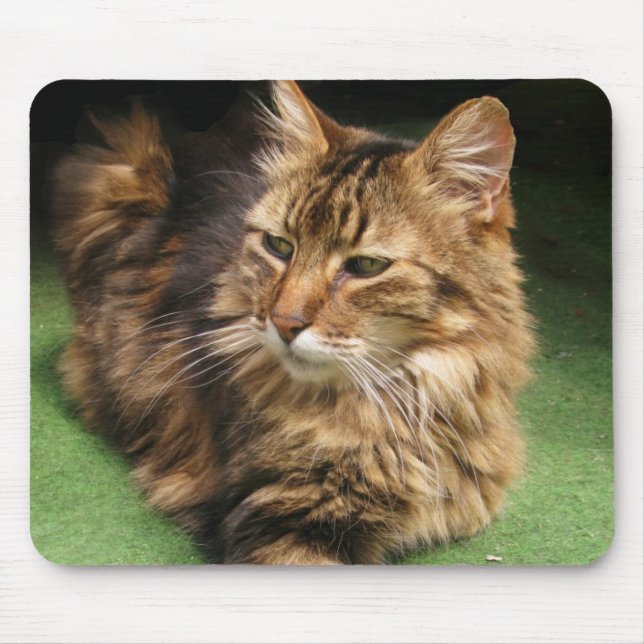 Norwegian Forest Cat Mouse Mat (Front)