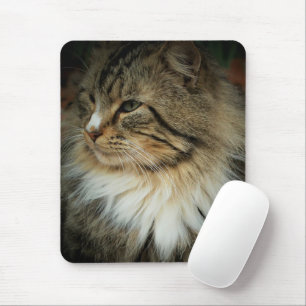 Norwegian Forest Cat Mousepad