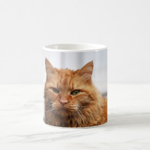 Norwegian Forest Cat Mug