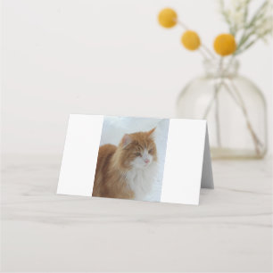 Norwegian_Forest_Cat Place Card