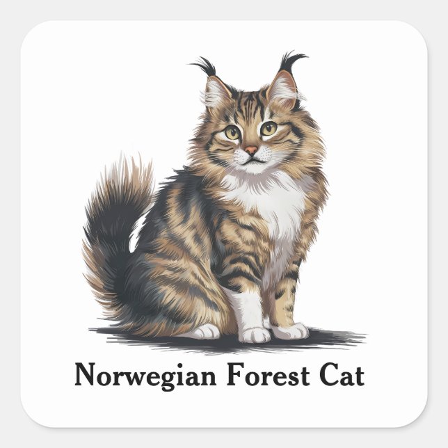 Norwegian Forest Cat Square Sticker (Front)