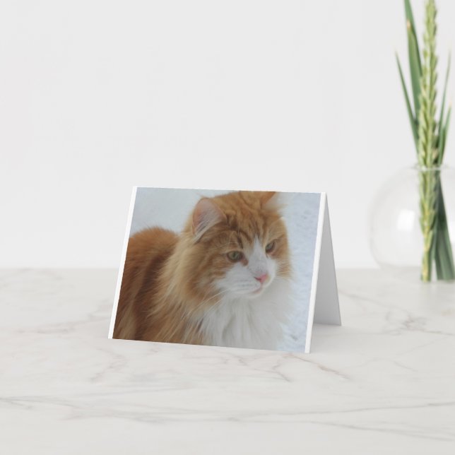 Norwegian_Forest_Cat Thank You Card (Front)