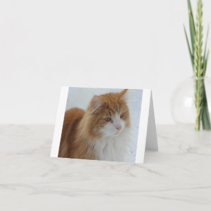Norwegian_Forest_Cat Thank You Card