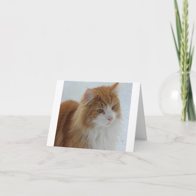 Norwegian_Forest_Cat Thank You Card (Front)