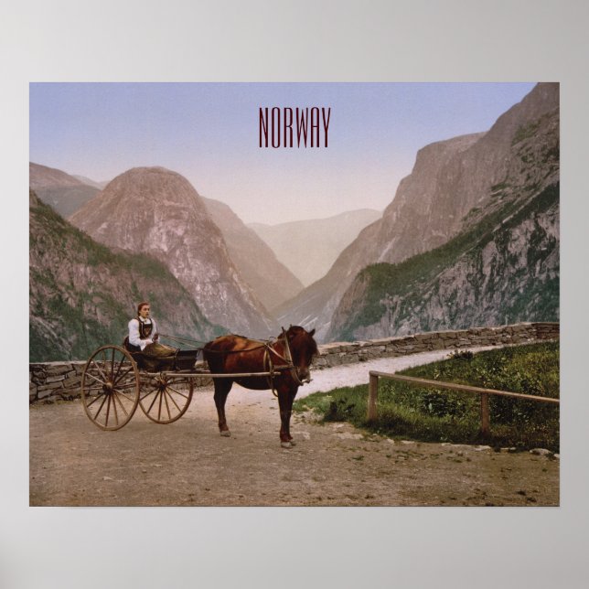 Norwegian woman in a horse-drawn carriage poster (Front)