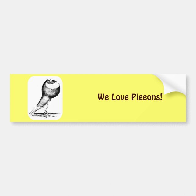 Norwich Cropper 1980 Bumper Sticker (Front)