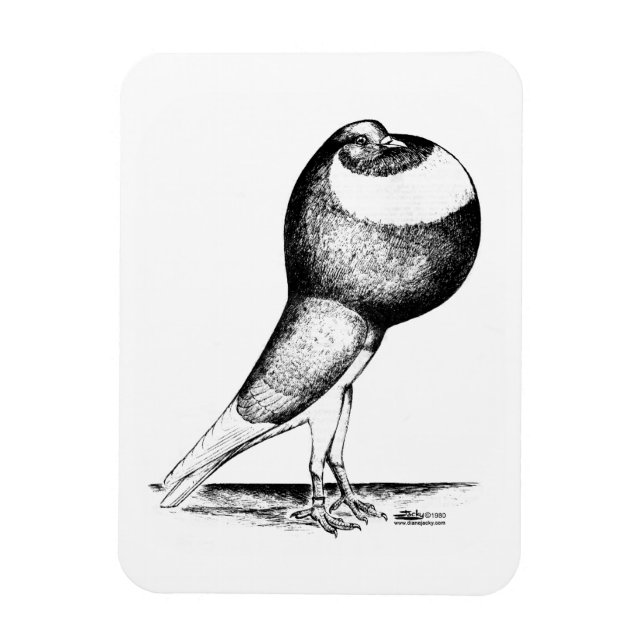 Norwich Cropper Pigeon 1980 Magnet (Vertical)