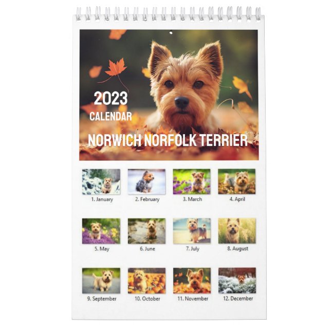 Norwich Norfolk Terrier 2023 Calendar  (Cover)