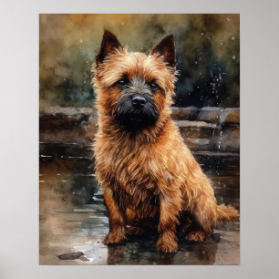 Norwich Terrier Dog Art Print Poster