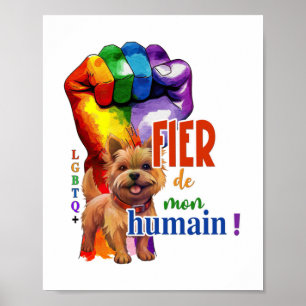 Norwich Terrier dog Poster