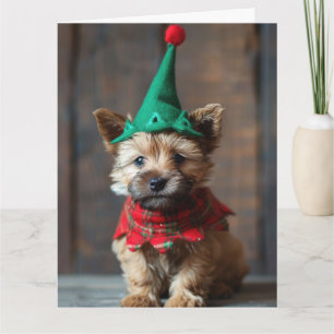 Norwich Terrier Elf Puppy Christmas Card