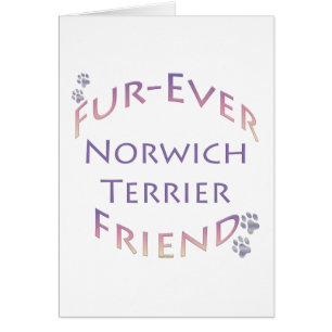 Norwich Terrier Furever