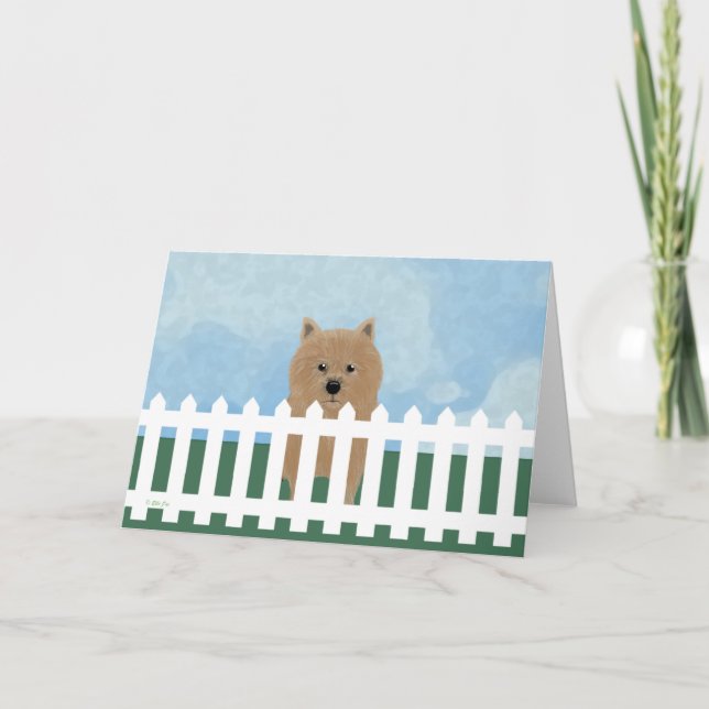 Norwich Terrier Note Card (Front)