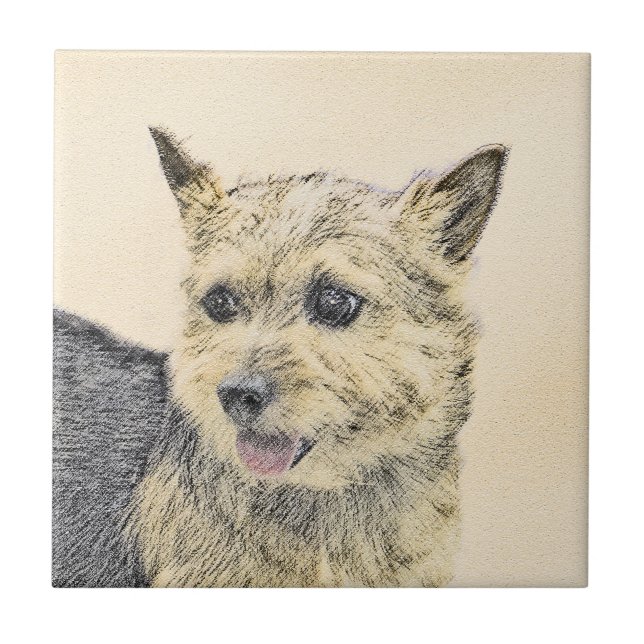 Norwich Terrier Painting - Cute Original Dog Art Tile (Front)