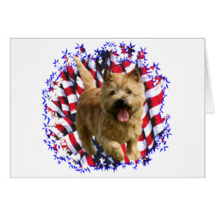 Norwich Terrier Patriot