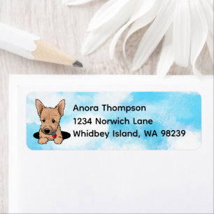 Norwich terrier Puppy