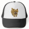 Norwich Terrier