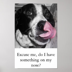Nose Job Poster