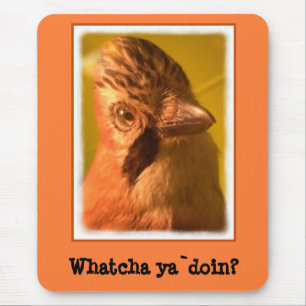 Nosey Jay Bird Mouse Mat