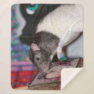 Nosey rat  sherpa blanket
