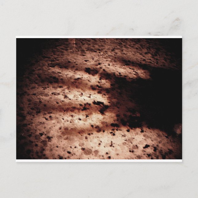 Nosferatu Postcard (Front)