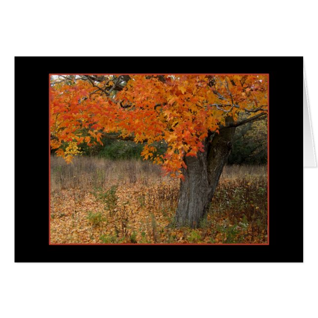 Nostalgic Amber Autumn Card (Front Horizontal)