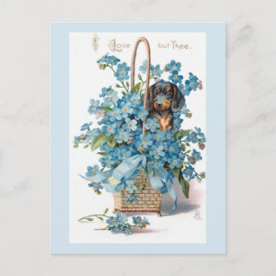 Nostalgic Vintage Floral Valentine with Dachsund Holiday Postcard