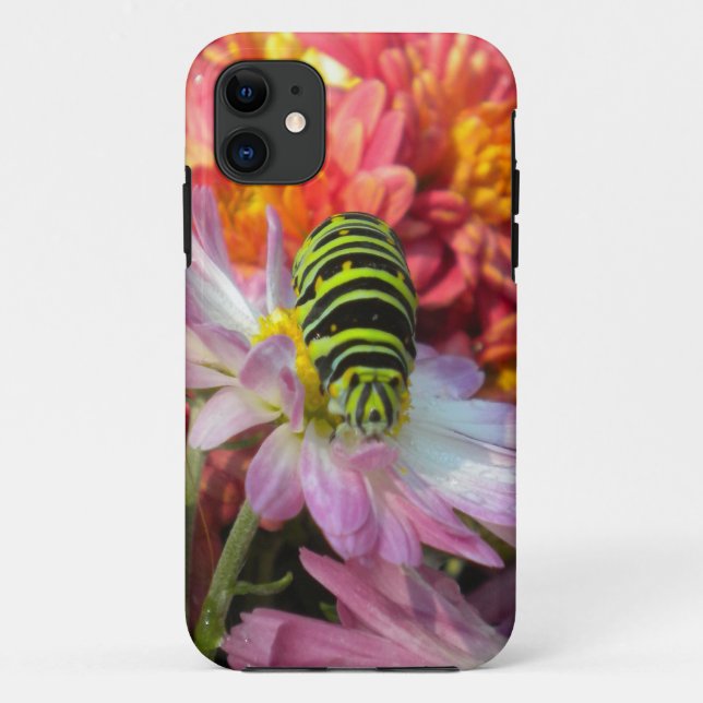 Nosy Caterpillar iPhone 5 Case (Back)