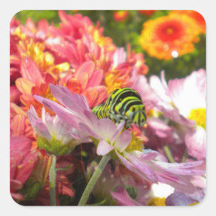 Nosy Caterpillar Stickers