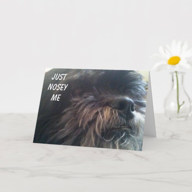 NOSY DOG ASKS "YOU ARE 50?" FUN BIRTHDAY CARD (Small Plant)
