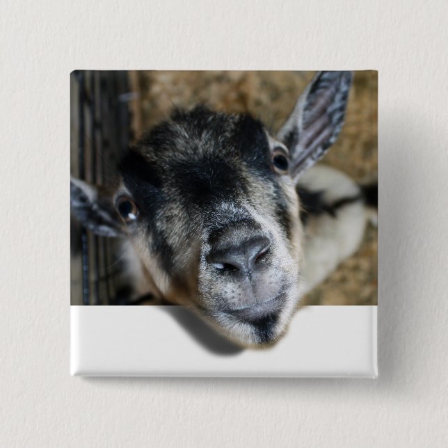 Nosy Goat Looking Out 15 Cm Square Badge (Front)