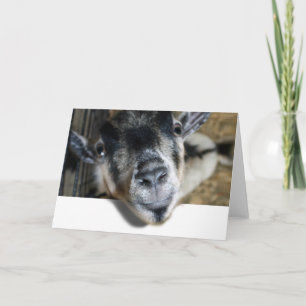 Nosy Goat Looking Out Card