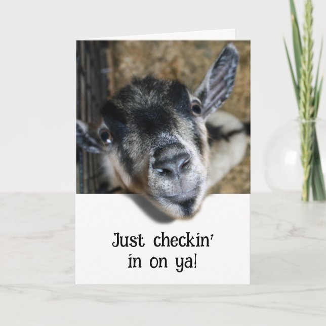Nosy Goat Looking Out Card (Front)