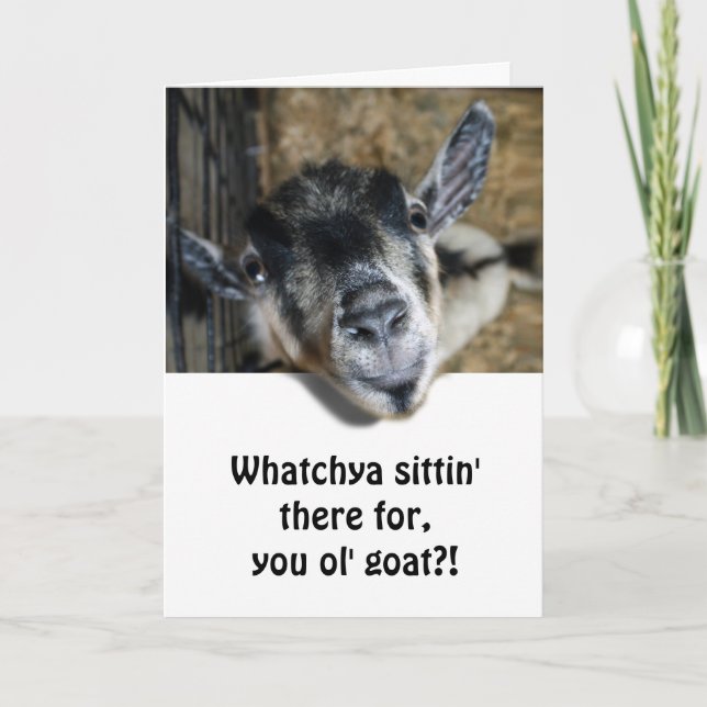 Nosy Goat Looking Up - Birthday Card (Front)