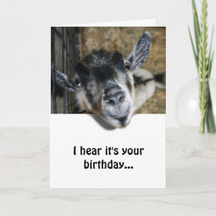 Nosy Goat Looking Up - Birthday Card