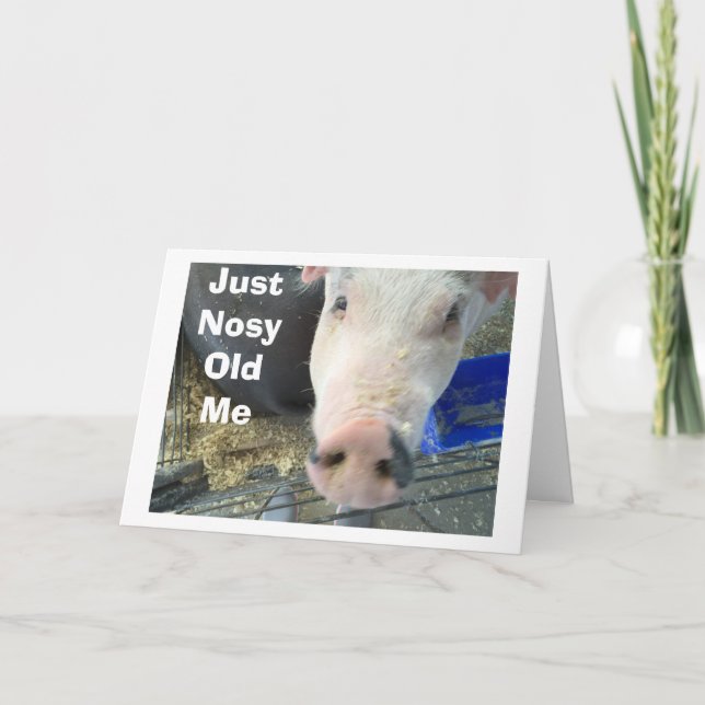 NOSY PIGS BUTS IN TO SAY=HAVE A PERFECT HOLIDAY (Front)