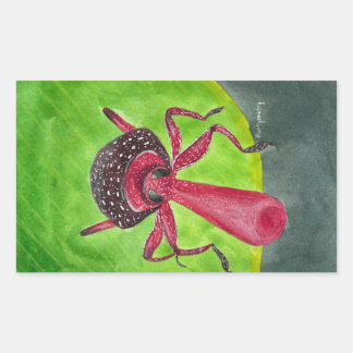 Nosy Rectangular Sticker