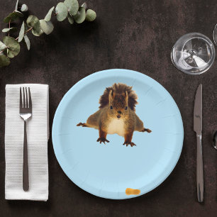 Nosy red squirrel in snow blue paper plate