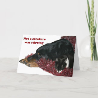 Not a creature was stirring holiday card