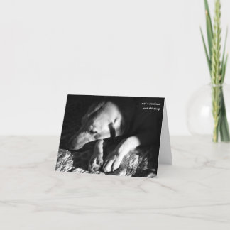 ...not a creature was stirring holiday card