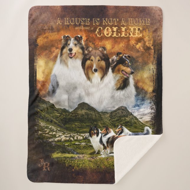 Not a Home w/o Collies, Sheep Herding, Rustic - Sherpa Blanket (Front)