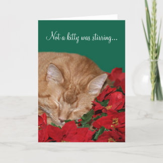 Not a kitty was stirring... holiday card