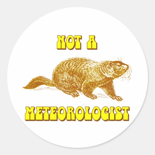 Not a Meteorologist Groundhog Classic Round Sticker (Front)