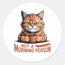 Not A Morning Person Grumpy Orange Cat Funny Stick