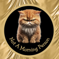 Not A Morning Person Or Your Text Angry Orange Cat