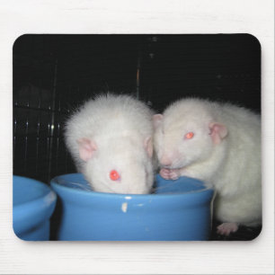 Not a Mouse Pad... Mat